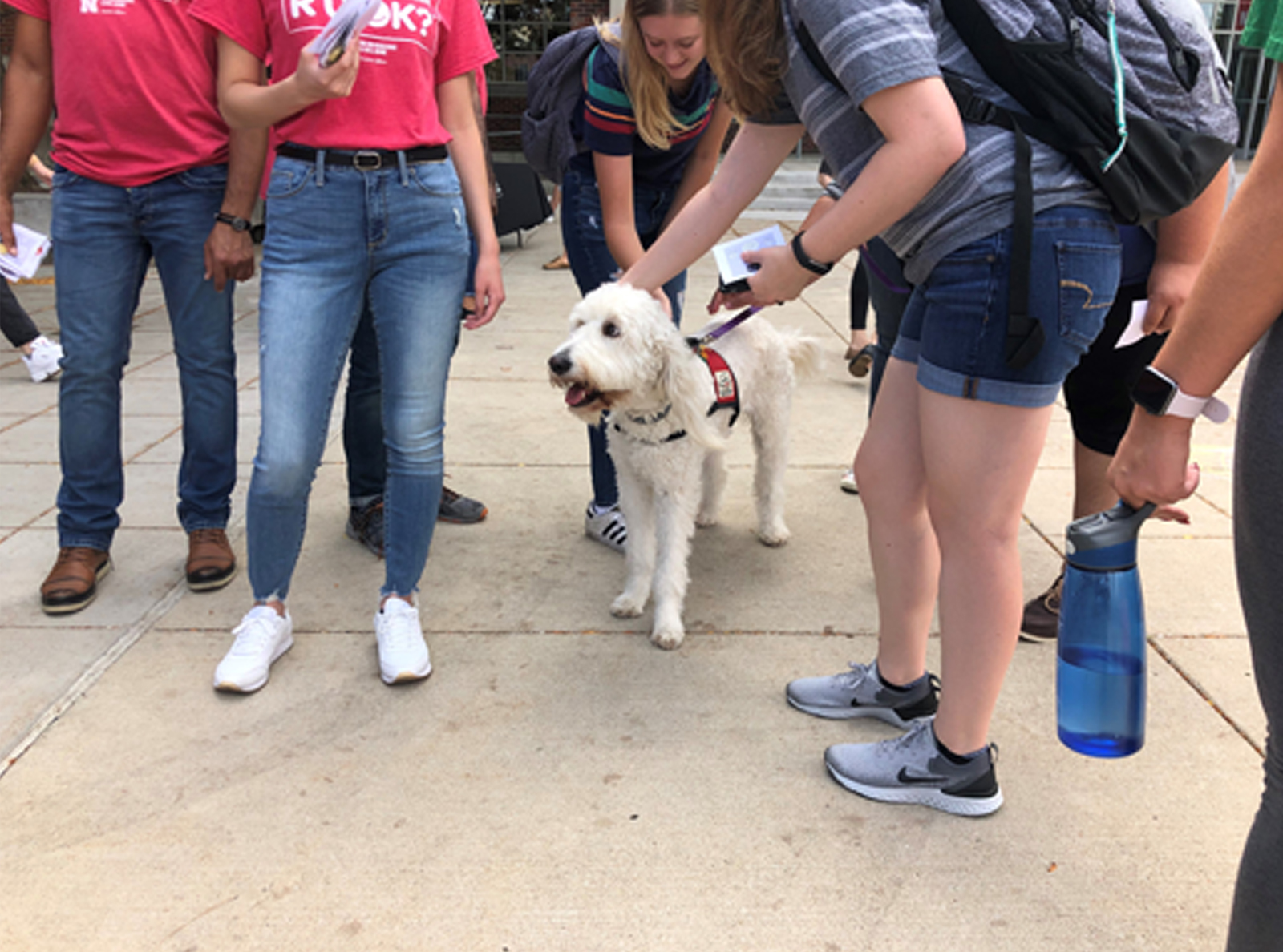 Students with a therapy dog at an RU OK event